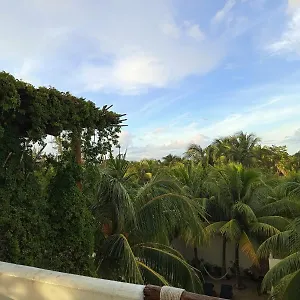 Appart hôtel Casa Aloha-isla